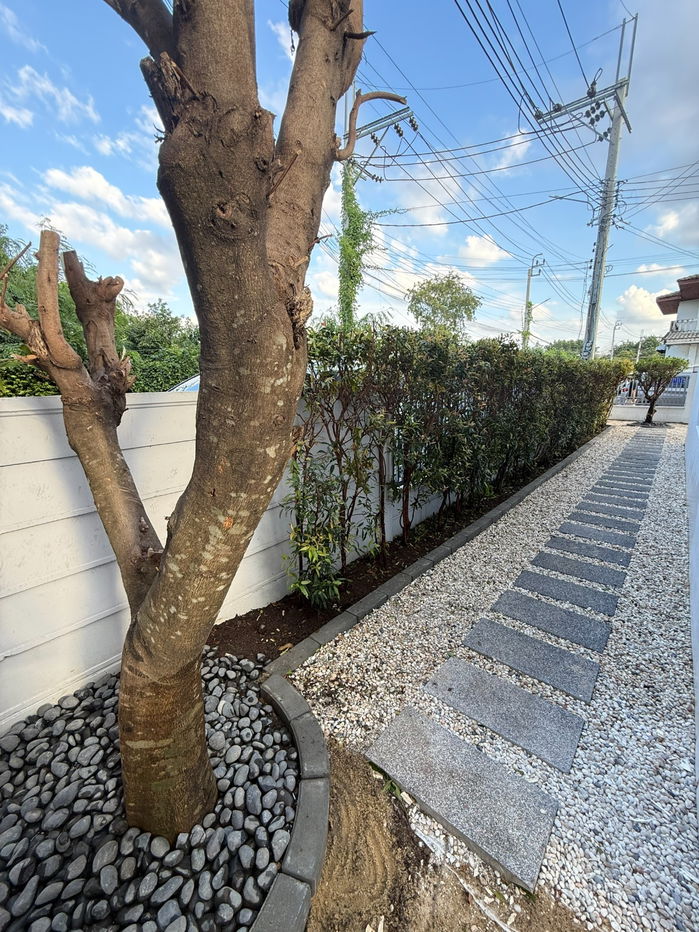 รูป ให้เช่าทาวน์โฮม 3 ชั้น 4 ห้องนอน ห้องน้ำในตัวทุกห้อง ตกแต่งหรู บรรยากาศหมู่บ้านเงียบสงบ - รูปที่ 27/27