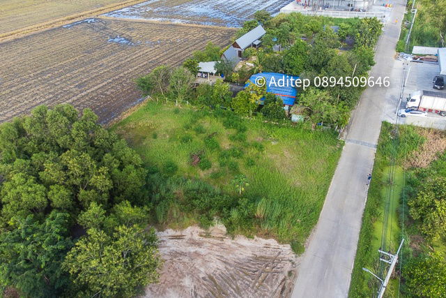 รูป ขายด่วน! ที่ดินสีม่วง 197 ตรว. ใกล้ถนน 346 ในซอยกำนันวิรัตน์ คูขวางไทยซอย 4 คูบางหลวง ลาดหลุมแก้ว ปทุมธานี - รูปที่ 12/20