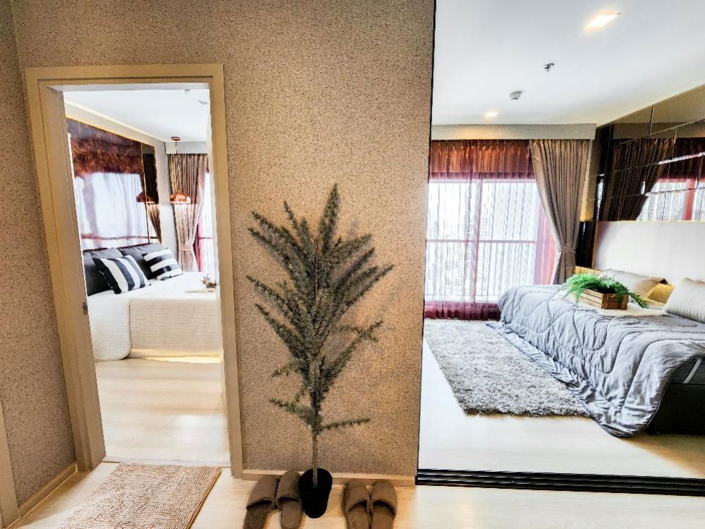 รูป ปล่อยเช่า Life Sukhumvit 48 ราคา 26,000 บาท - รูปที่ 2/8