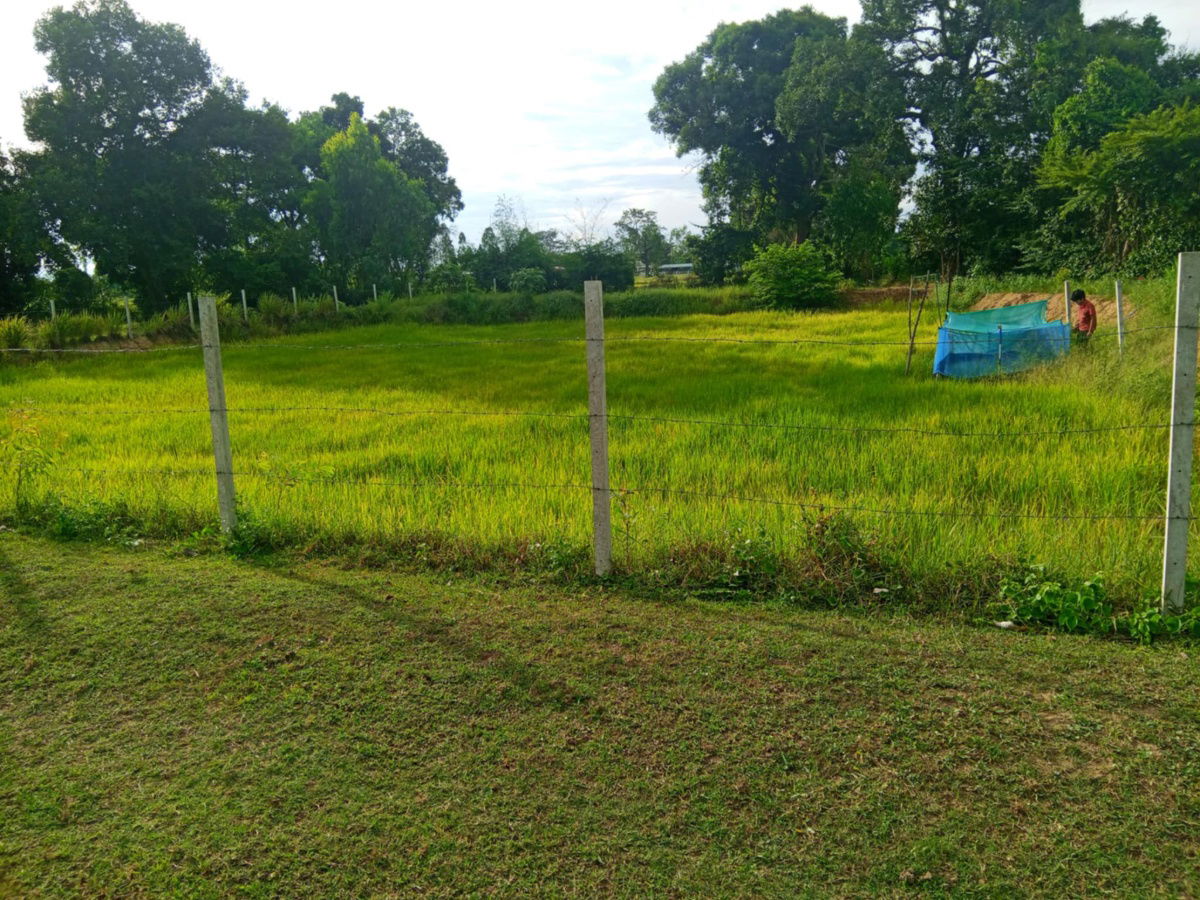 รูป ขายบ้านพร้อมที่ดิน 1 ไร่ 2 งาน 50 ตรว.  - รูปที่ 5/7