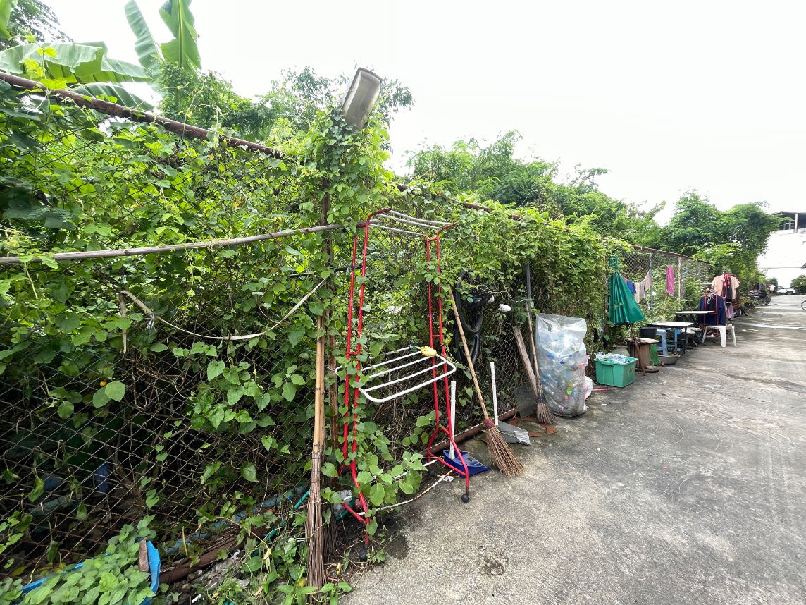 รูป ขายที่ดินนนทบุรี ถมแล้ว ติดถนนซอยจามจุรี 3 - รูปที่ 10/18