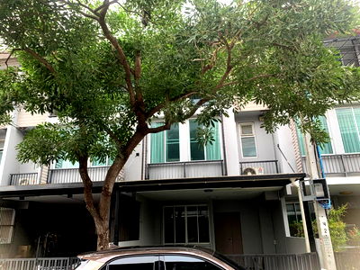 เช่าทาวน์โฮม การไฟฟ้านครหลวง เขตบางเขน : ให้เช่าทาวน์เฮ้าส์ ที่ บ้านอารียา เดลี่ เกษตร-นวมินทร์