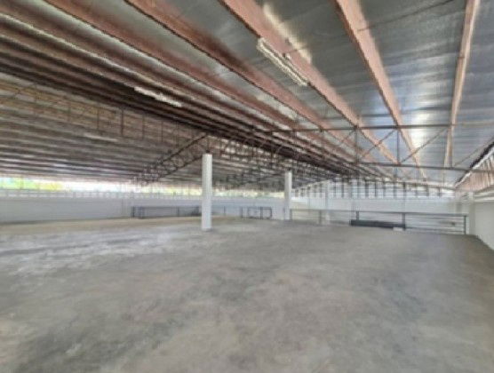 รูป ให้เช่าโกดังพร้อมสำนักงาน พื้นที่ 1400 ตารางเมตร ซอยอ่อนนุช 66 / สิบล้อ เข้าออกได้ - รูปที่ 11/19