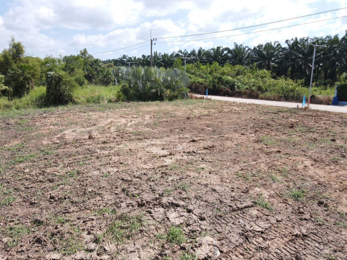 รูป ขายที่ดินคลอง 11 หนองเสือ ปทุมธานี ที่ดินถมแล้ว พร้อมสร้าง ราคาถูก - รูปที่ 6/10