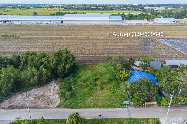 รูป ขายด่วน! ที่ดินสีม่วง 197 ตรว. ใกล้ถนน 346 ในซอยกำนันวิรัตน์ คูขวางไทยซอย 4 คูบางหลวง ลาดหลุมแก้ว ปทุมธานี - รูปที่ 14/20