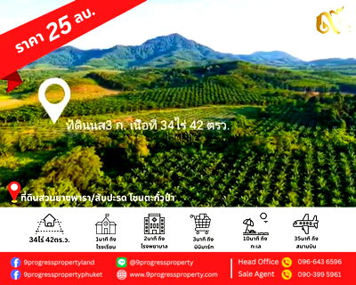 ที่ดิน ตะกั่วทุ่ง พังงา : สวนสัปปะรด  34 ไร่ ตำบลท่าอยู่