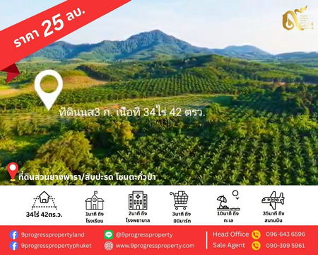 สวนสัปปะรด 34 ไร่ ตำบลท่าอยู่