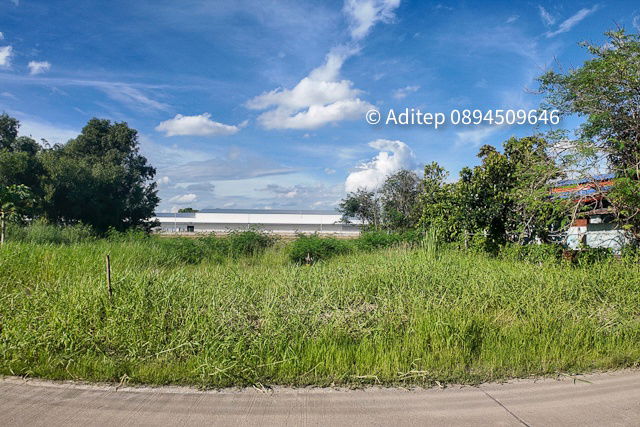 รูป ขายด่วน! ที่ดินสีม่วง 197 ตรว. ใกล้ถนน 346 ในซอยกำนันวิรัตน์ คูขวางไทยซอย 4 คูบางหลวง ลาดหลุมแก้ว ปทุมธานี - รูปที่ 17/20