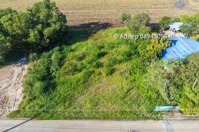 รูป ขายด่วน! ที่ดินสีม่วง 197 ตรว. ใกล้ถนน 346 ในซอยกำนันวิรัตน์ คูขวางไทยซอย 4 คูบางหลวง ลาดหลุมแก้ว ปทุมธานี - รูปที่ 2/20