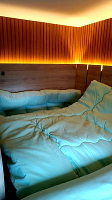 คอนโดให้เช่า : ให้ เช่า ไลฟ์ สาธร เซียร่า(วิวสระ) 99/185