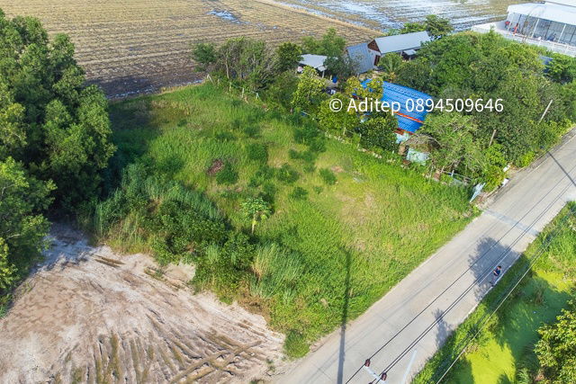 รูป ขายด่วน! ที่ดินสีม่วง 197 ตรว. ใกล้ถนน 346 ในซอยกำนันวิรัตน์ คูขวางไทยซอย 4 คูบางหลวง ลาดหลุมแก้ว ปทุมธานี - รูปที่ 4/20