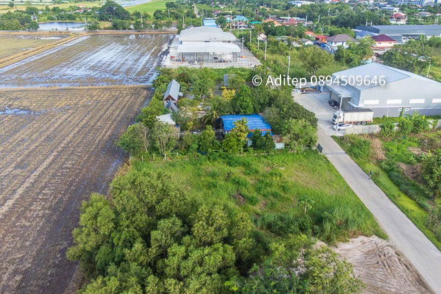 รูป ขายด่วน! ที่ดินสีม่วง 197 ตรว. ใกล้ถนน 346 ในซอยกำนันวิรัตน์ คูขวางไทยซอย 4 คูบางหลวง ลาดหลุมแก้ว ปทุมธานี - รูปที่ 11/20