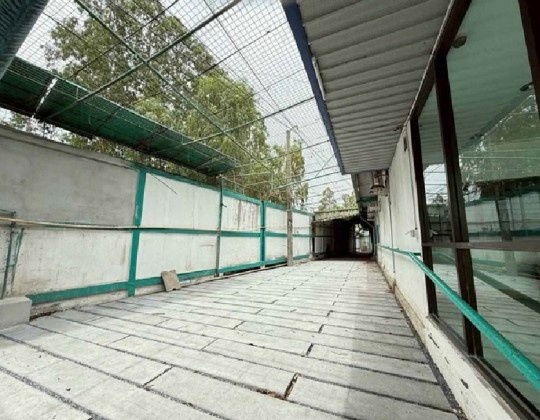 รูป ให้เช่า โกดัง โรงงาน พร้อมสำนักงาน โกดังมีเครน ทำเล ริมถนนพระราม 2 กม.42 / พื้นที่ดิน 2.5 ไร่ / พื้นที่ใช้สอยรวม 1,450 ตารางเมตร / รถเทเลอร์เข้าออกได้ - รูปที่ 8/17