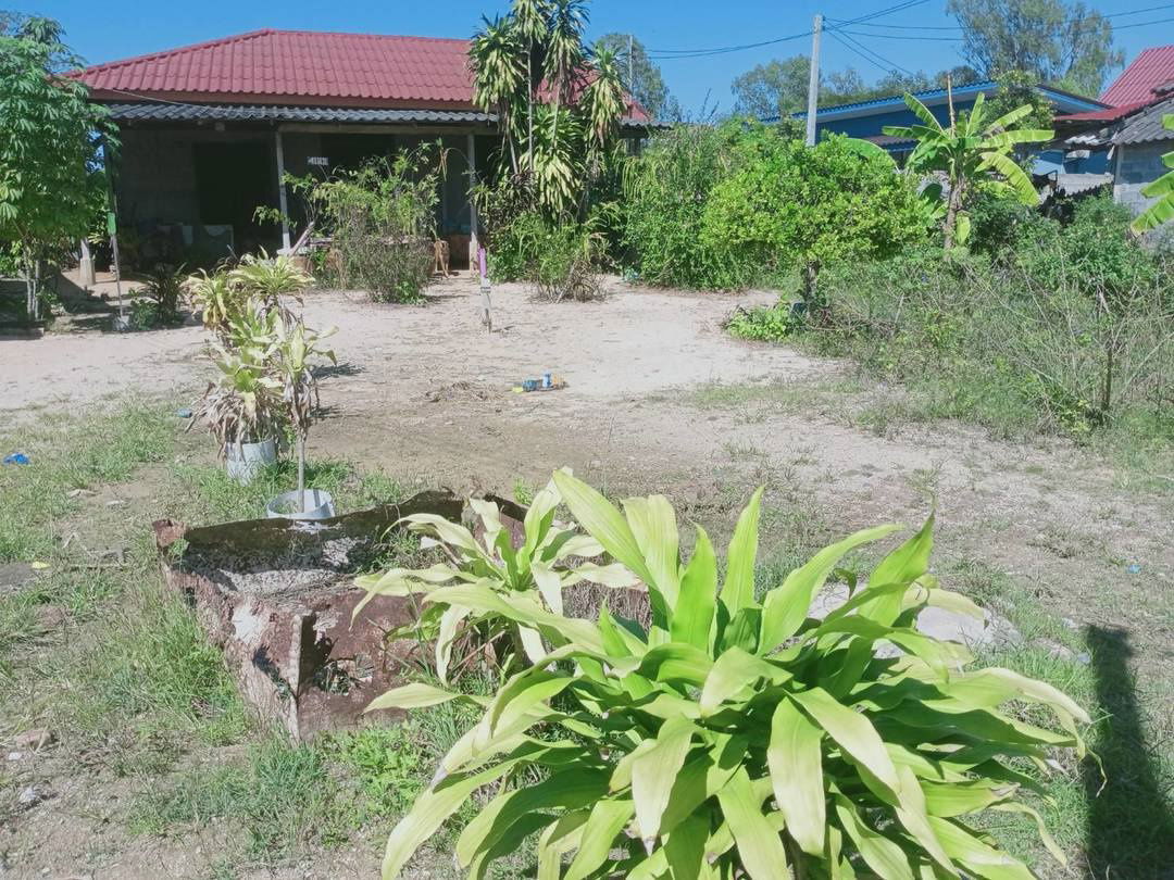 รูป ที่ดินพัทยาทำเลทอง พัทยาเหนือนาเกลือ ใกล้ รพ.กรุงเทพ ใกล้สุขุมวิท - รูปที่ 7/12