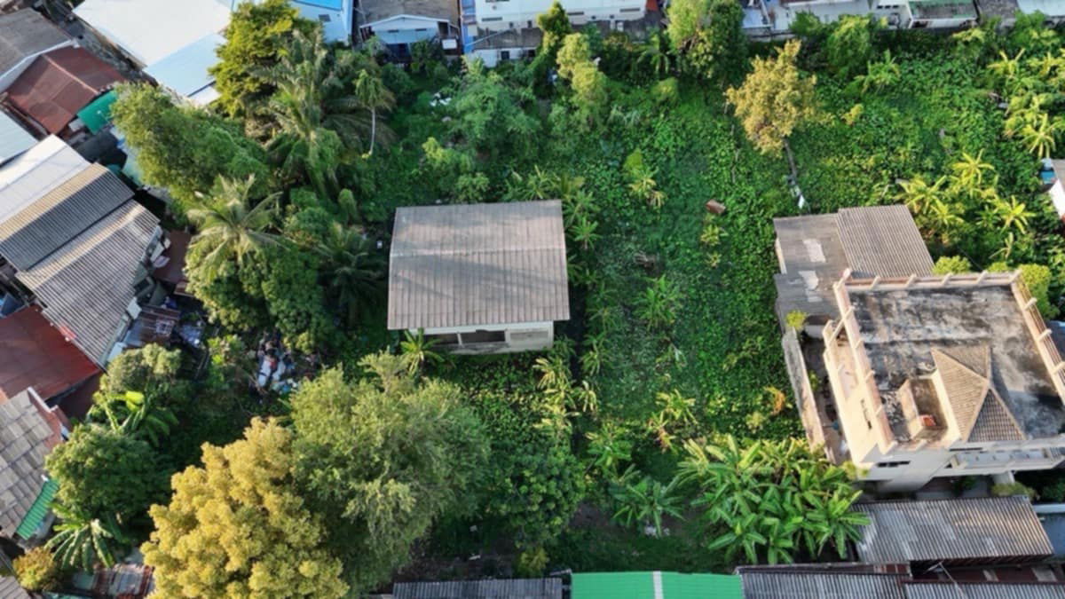 รูป โอกาสทองสำหรับนักลงทุน! ขายที่ดินแปลงสวย ทำเลศักยภาพสูง ย่านวงศ์สว่าง - รูปที่ 4/6