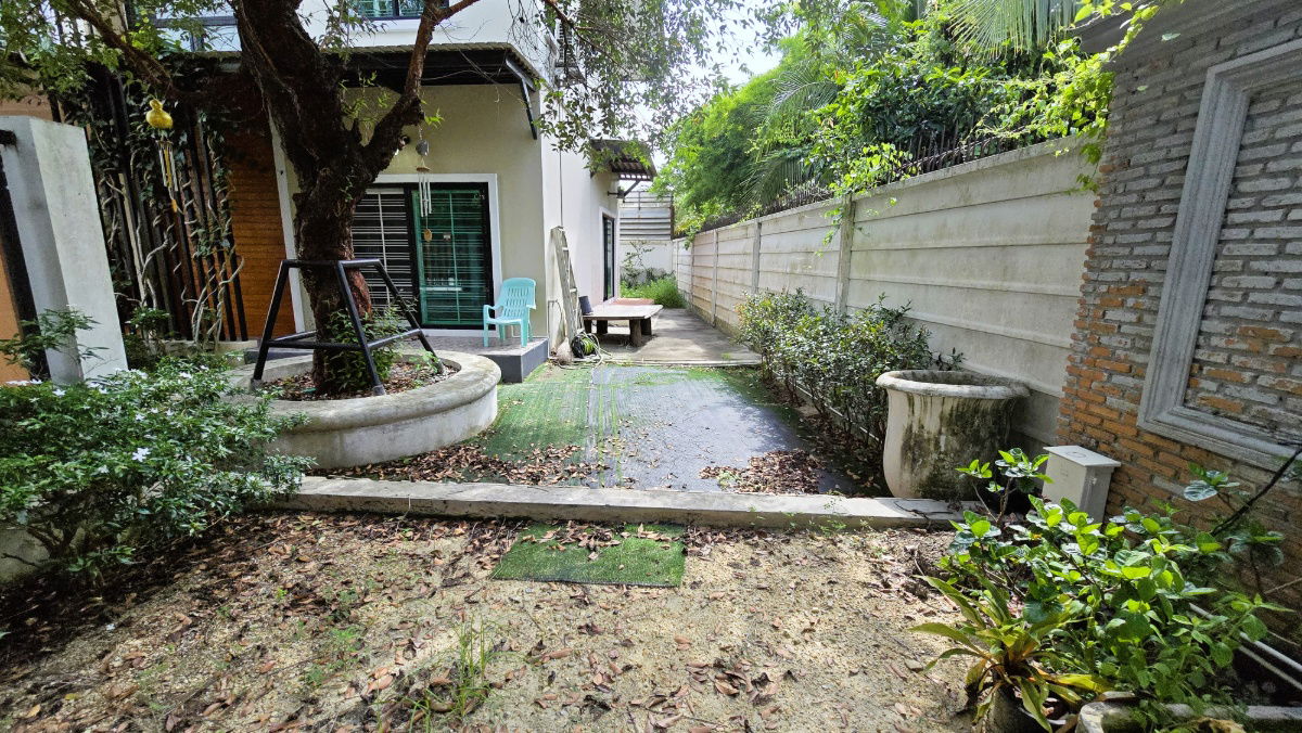 รูป คุ้มค่ามาก! ปล่อยเช่า บ้านเดี่ยว หมู่บ้าน เดอะไพรเวซี่ พุทธมณฑล สาย 7 เนื้อที่ 69.6 ตร.ว. ติดถนนใหญ่พุทธมณฑลสาย7 ใกล้ถนนเพชรเกษม - รูปที่ 11/22