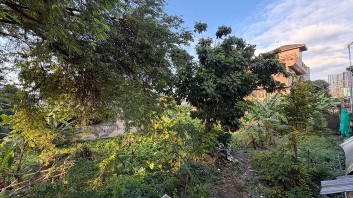 รูป โอกาสทองสำหรับนักลงทุน! ขายที่ดินแปลงสวย ทำเลศักยภาพสูง ย่านวงศ์สว่าง - รูปที่ 6/6