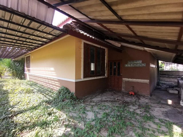 รูป BP00093 ขายบ้านเดี่ยว ตำบลเวียง อำเภอเทิง เชียงราย - รูปที่ 3/8