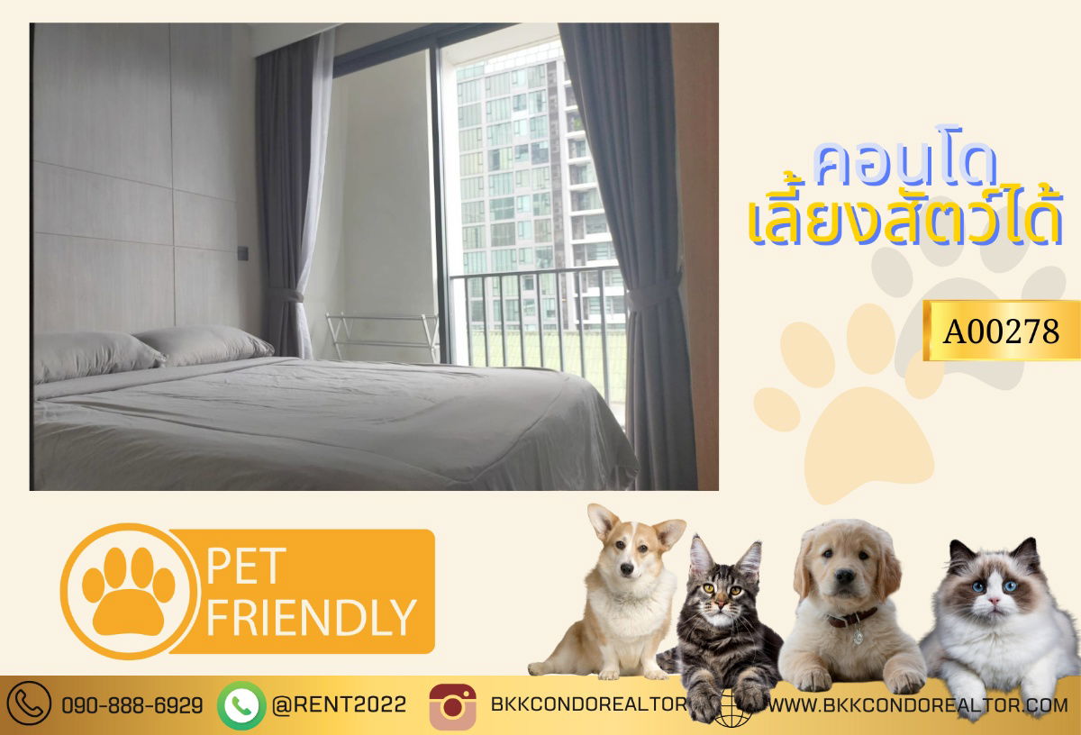 รูป 🍀🍀🍀BEST DEAL🔥ให้เช่า📌เอ็ม ทองหล่อ 10 (Line:@rent2022)ห้องสวย พร้อมเข้าอยู่✨A00278 - รูปที่ 1/15