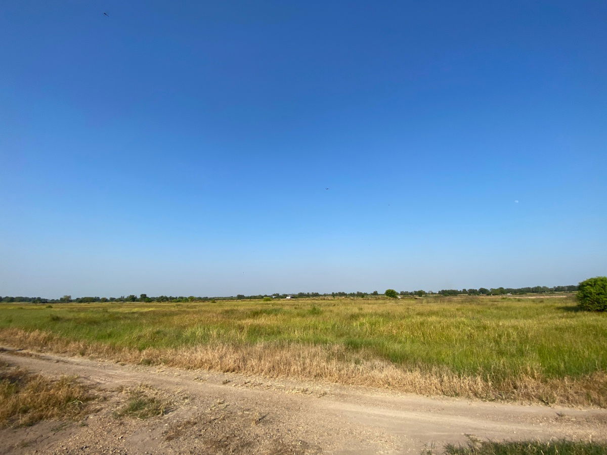 รูป ให้เช่าหรือแบ่งเช่าที่ดินย่าน “คลอง 15” จุดศูนย์กลางสวนไม้ดอก–ไม้ประดับของภาคกลาง - รูปที่ 4/11