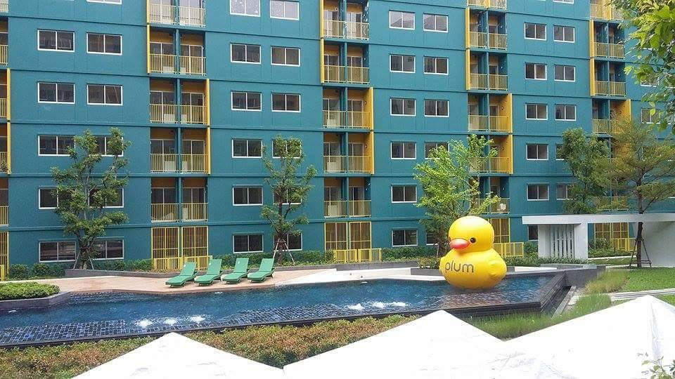 รูป ให้เช่าคอนโด พลัมคอนโด พาร์ค รังสิต เฟส 1 Plum condo Park Rangsit 6,000 บาทต่อเดือน ชั้น 2 ใกล้ม.กรุงเทพ - รูปที่ 8/8