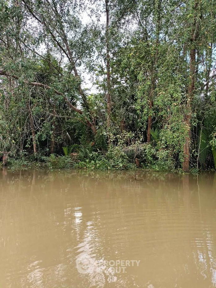 รูป ที่ดินสำหรับปล่อยขาย 4,400 ตารางเมตร แถว ใน คลองฉนาก (ID 2445885) - รูปที่ 2/15