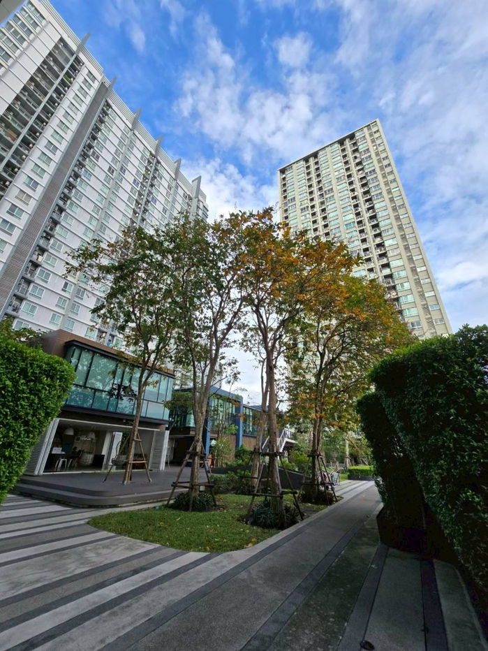 รูป คอนโดยูดีไลท์@ตลาดพลู คอนโดขนาด30.05ตร.ม. 1ห้องนอน 1ห้องนั่งเล่น 1ห้องครัว 1ห้องน้ำ - รูปที่ 10/14