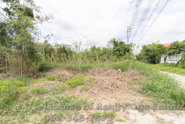 รูป ขายที่ดิน ถมแล้ว แปลงสวย ถ.บ้านกล้วย อ.ไทรน้อย จ.นนทบุรี - รูปที่ 3/8