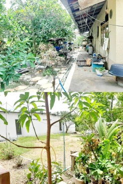 รูป 6นอน 4-6จอดรถ สามพราน นครปฐม 6แอร์ ให้เช่าคฤหาสน์ 2หลัง 2ไร่ 1 1,500ตรม. 3น้ำ ใกล้โลตัส บิ๊กซี ใหญ่มากวัดสว่างอารมณ์ - รูปที่ 8/8