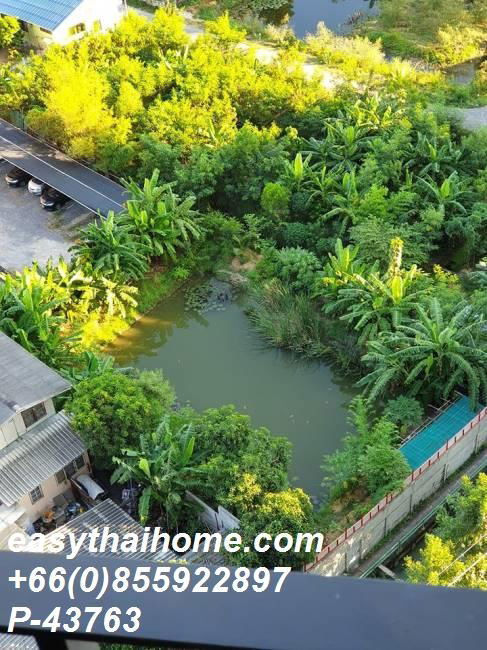 picture P-43763 Condo for rent Chapter One Eco Ratchada - Huaikwang fully furnished (Confirm again when visit). - 3/20