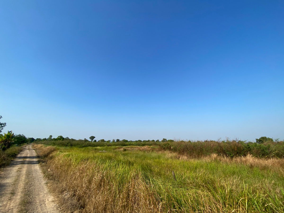 รูป ให้เช่าหรือแบ่งเช่าที่ดินย่าน “คลอง 15” จุดศูนย์กลางสวนไม้ดอก–ไม้ประดับของภาคกลาง - รูปที่ 9/11