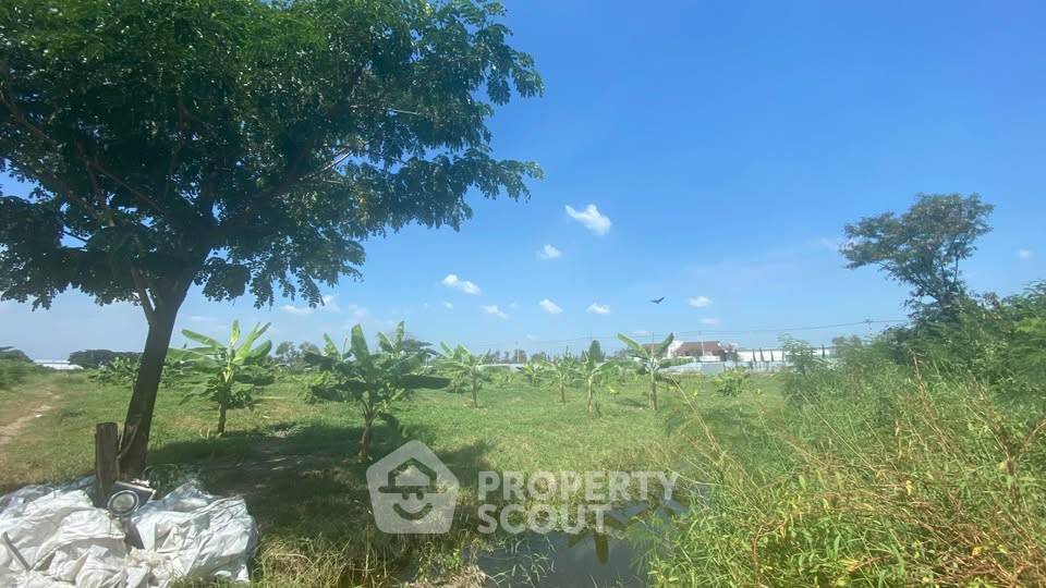 รูป ที่ดินสำหรับปล่อยขาย 48,780 ตารางเมตร แถว ใกล้ ท่าอากาศยานสุวรรณภูมิ (ID 2382034) - รูปที่ 4/5