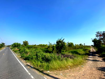 เช่าที่ดิน นครนายก : ให้เช่าหรือแบ่งเช่าที่ดินย่าน “คลอง 15” จุดศูนย์กลางสวนไม้ดอก–ไม้ประดับของภาคกลาง