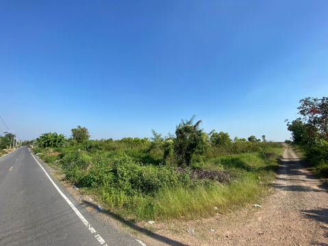 ให้เช่าหรือแบ่งเช่าที่ดินย่าน “คลอง 15” จุดศูนย์กลางสวนไม้ดอก–ไม้ประดับของภาคกลาง