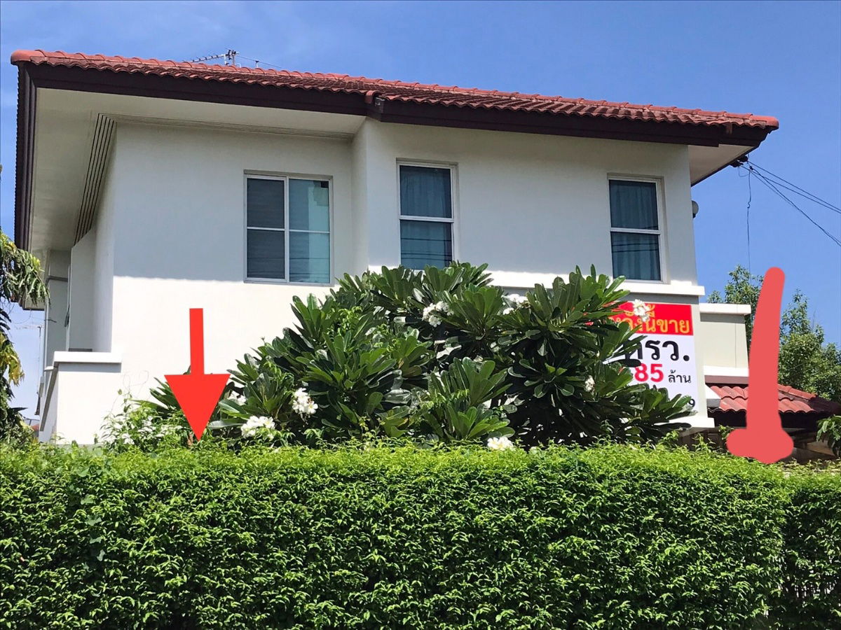 รูป ขายบ้าน 63 ตรว. พฤกษ์ลดา ลาดสวาย ทำเลดี อยู่สบาย - รูปที่ 2/5