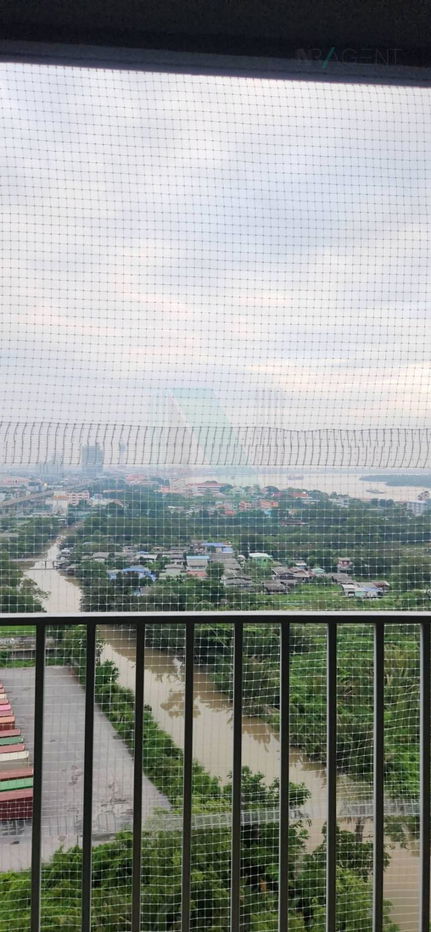 picture For Rent Condo THE TRUST CONDO @BTS ERAWAN Building 1, Floor 17,1 bed room, Room size 29 sqm - 5/8