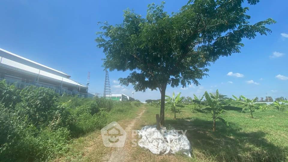 รูป ที่ดินสำหรับปล่อยขาย 48,780 ตารางเมตร แถว ใกล้ ท่าอากาศยานสุวรรณภูมิ (ID 2382034) - รูปที่ 5/5