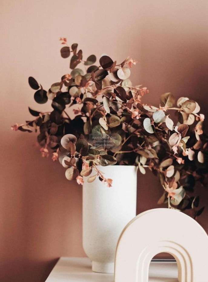 picture For Rent Condo , The Politan Aqua , MRT-Phra Nang Klao Bridge , Bang Kraso , Mueang Nonthaburi , Nonthaburi , CX-86174 ✅ Live chat with us ADD LINE @connexproperty ✅ - 5/12