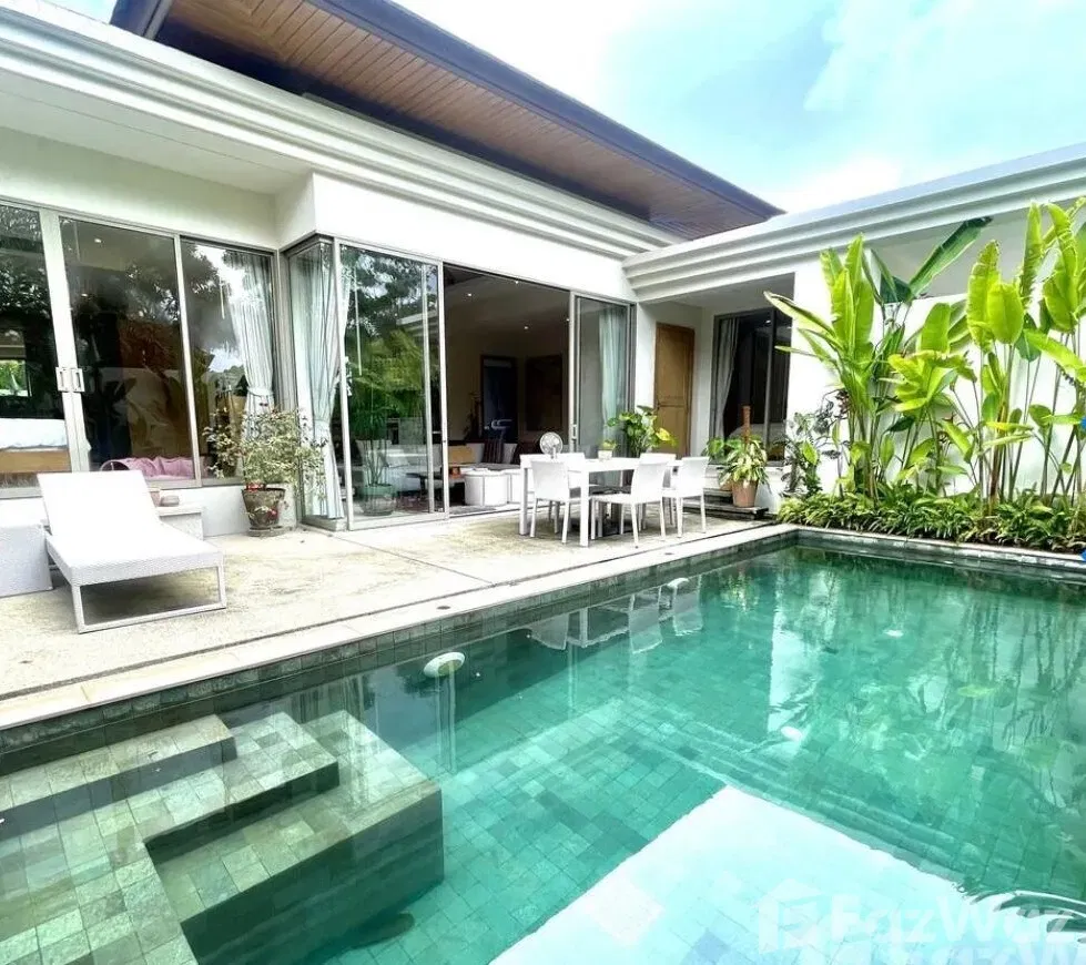 picture Trichada Tropical 1867724 - 8/16