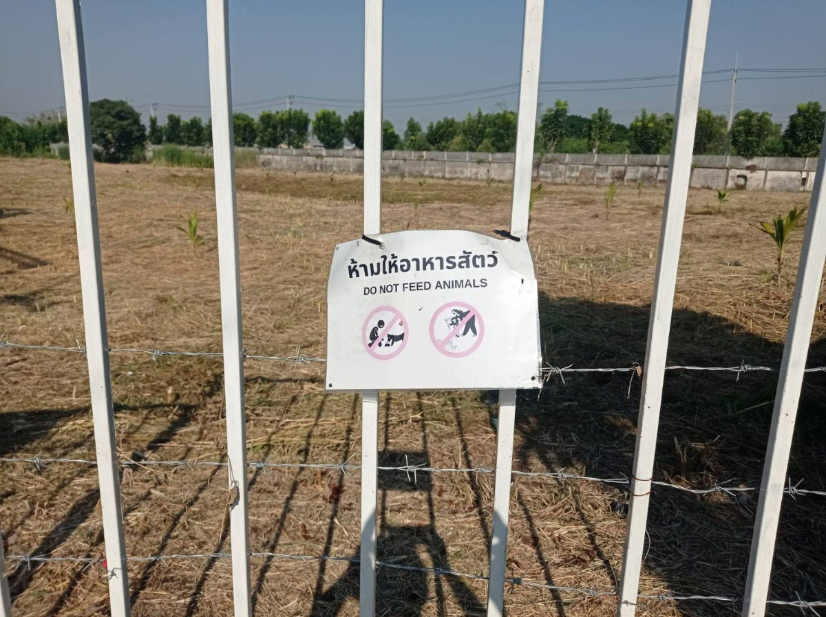 รูป ขายที่ดิน 7 ไร่ รังสิต-นครนายก คลอง15 ตำบลประชาธิปัตย์ อำเภอธัญบุรี จังหวัดปทุมธานี(ธัญบุรี) - รูปที่ 10/13