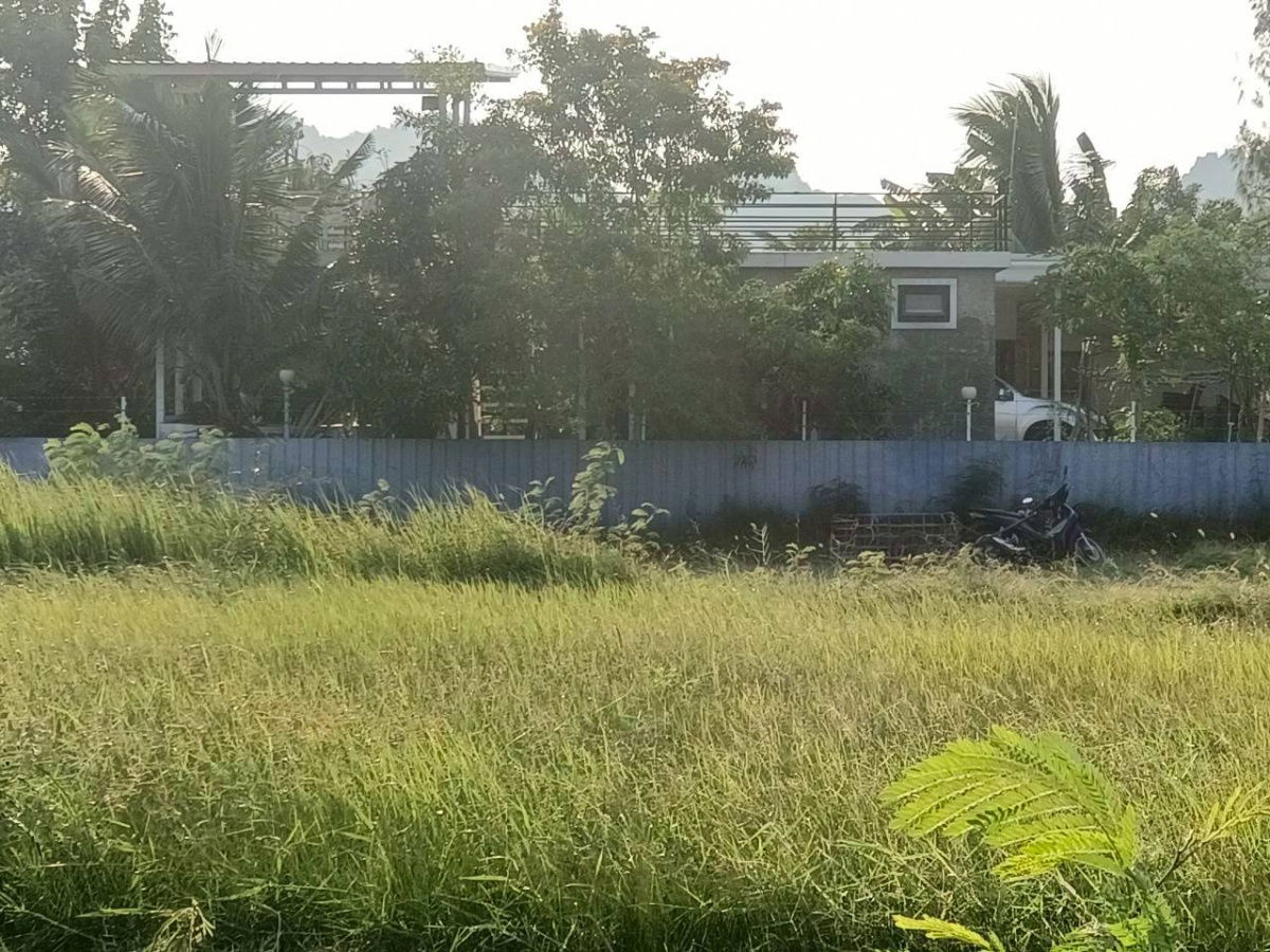 รูป 🏡💥 ขายที่ดินถมแล้ว – น้ำไฟครบ – ติดถนนสาธารณะ 📍 ต.นายาง อ.ชะอำ จ.เพชรบุรี เนื้อที่ 72 ตารางวา ทำเลดี วิวภูเขา - รูปที่ 5/12