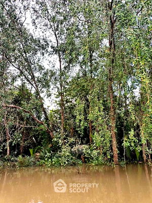 ที่ดิน สุราษฎร์ธานี : ที่ดินสำหรับปล่อยขาย 4,400 ตารางเมตร แถว ใน คลองฉนาก (ID 2445885)