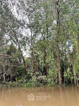 ที่ดินสำหรับปล่อยขาย 4,400 ตารางเมตร แถว ใน คลองฉนาก (ID 2445885)