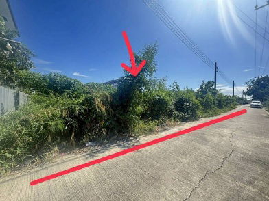 รูป ขายที่ดิน 2-2-44 ไร่ แปลงสวย ซอยลาดกระบัง 40/1 ใกล้สนามบินสุวรรณภูมิ - รูปที่ 3/7