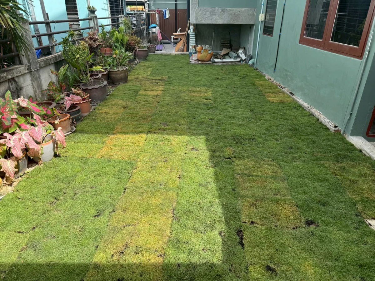 รูป 🏡 บ้านเดี่ยวทำเลทอง ให้เช่า — นวมินทร์ 75 แยก 13 5 ห้องนอน 3 ห้องน้ำ พื้นที่กว้าง 50 ตรว. ใกล้ถนนนวมินทร์เพียง 200 ม. - รูปที่ 12/20