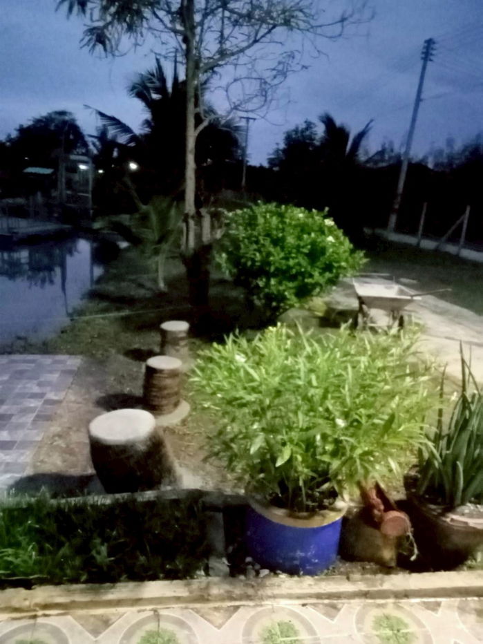 รูป บ้านสวนพร้อมที่ดิน  1 ไร่ 152 ตรว. - รูปที่ 6/15