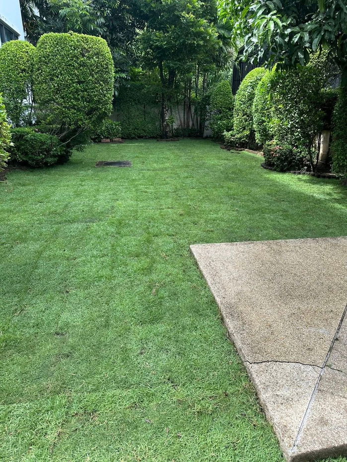 รูป ให้เช่า บ้านเดี่ยว เพอร์เฟค มาสเตอร์พีซ ราชพฤกษ์ พร้อมอยู่ HST0037 - รูปที่ 26/31