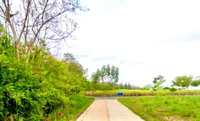 ที่ดิน ชลบุรี : ขายที่ดินแปลงสวย ทำเลดี ตรงข้ามนิคมโรจนะหนองใหญ่ ชลบุรี
