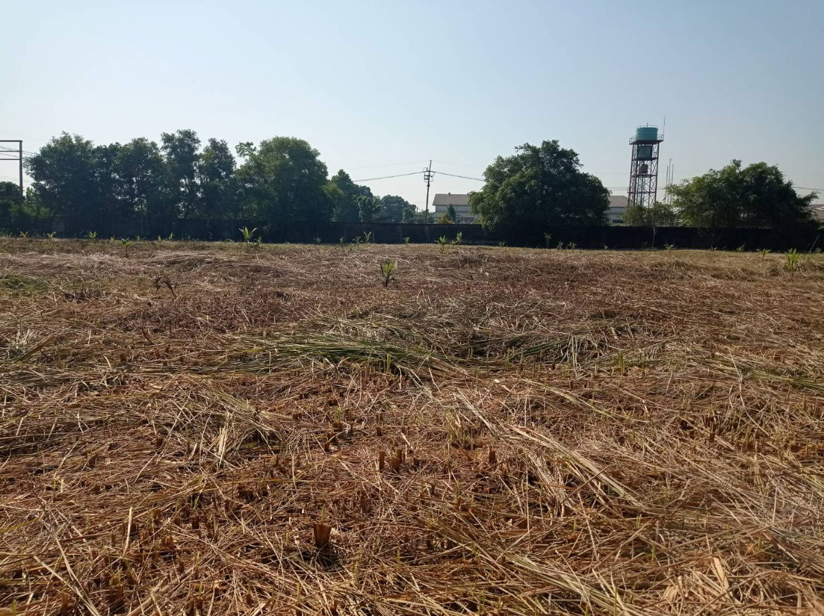 รูป ขายที่ดิน 7 ไร่ รังสิต-นครนายก คลอง15 ตำบลประชาธิปัตย์ อำเภอธัญบุรี จังหวัดปทุมธานี(ธัญบุรี) - รูปที่ 4/13