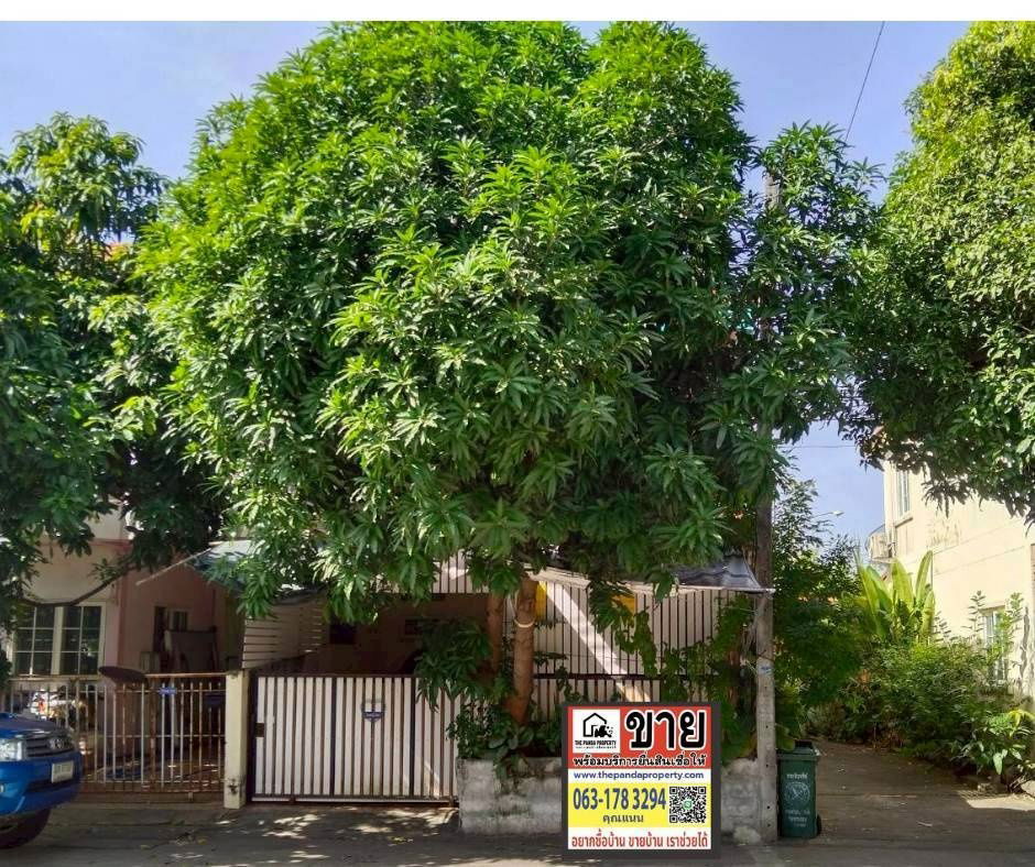 รูป ขายด่วน ม.เฟื่องฟ้า 11 เฟส 9 - รูปที่ 1/20